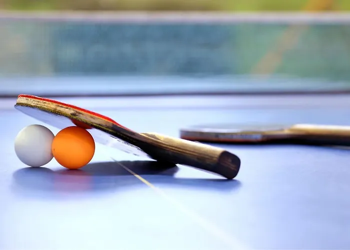 Rosalita Vandrarhem Lourdes